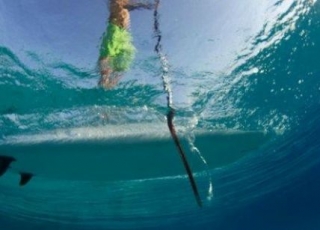  SPOP UP PADDLE DE PADRÃO 